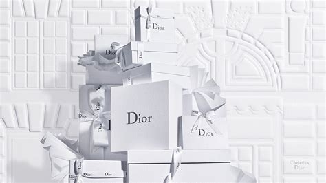 dior assistenza|official dior website.